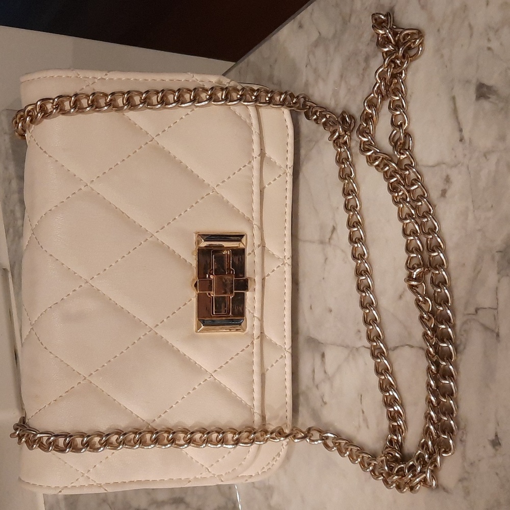 ALDO purse